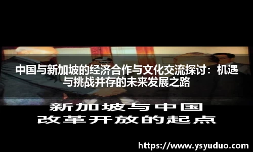 中国与新加坡的经济合作与文化交流探讨：机遇与挑战并存的未来发展之路